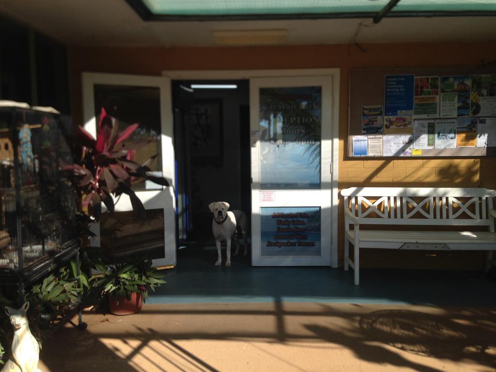Carnarvon Caravan Park Екстер'єр фото